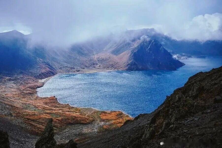 新疆胡杨观赏指南🌟驰骋万里国道·同心共赴山河——G331“最美边境公路”吉林·新疆双向奔赴自驾活动