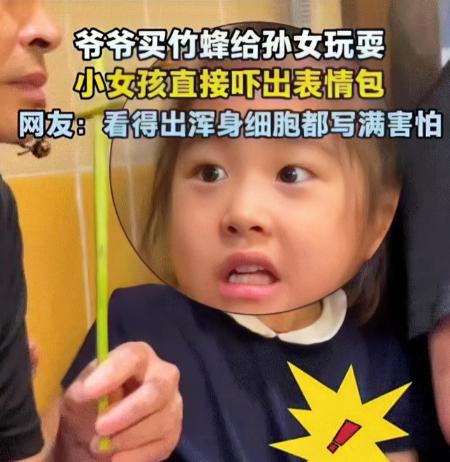 四川，一爷爷见孙女无聊，便用象鼻虫做了一个风车逗孙女。本以为孙女会很感兴趣，不料