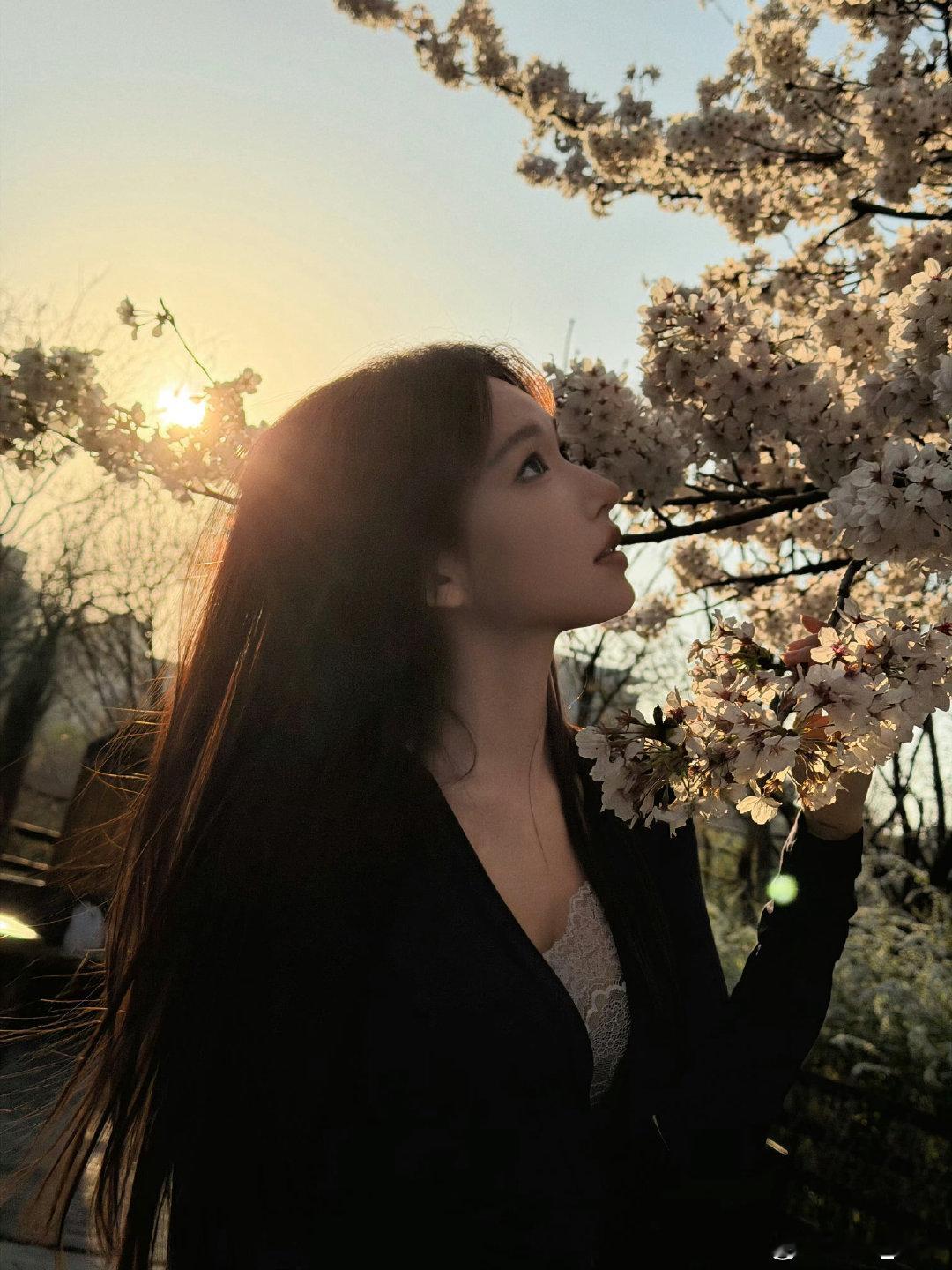 #程潇#花与落日皆为潇而来.程潇xiao​
