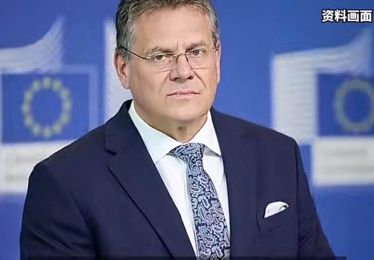 这事儿说起来挺有意思，欧盟那边最近为了稀土可是急得不行。他们有个叫谢夫乔维奇