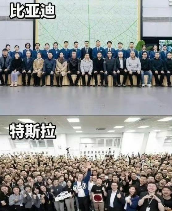 这就是文化差异吧！