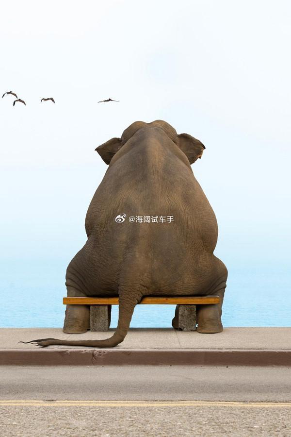 三月份乘用车下滑15%，新能源汽车销量下滑21%，四月份呢？？？