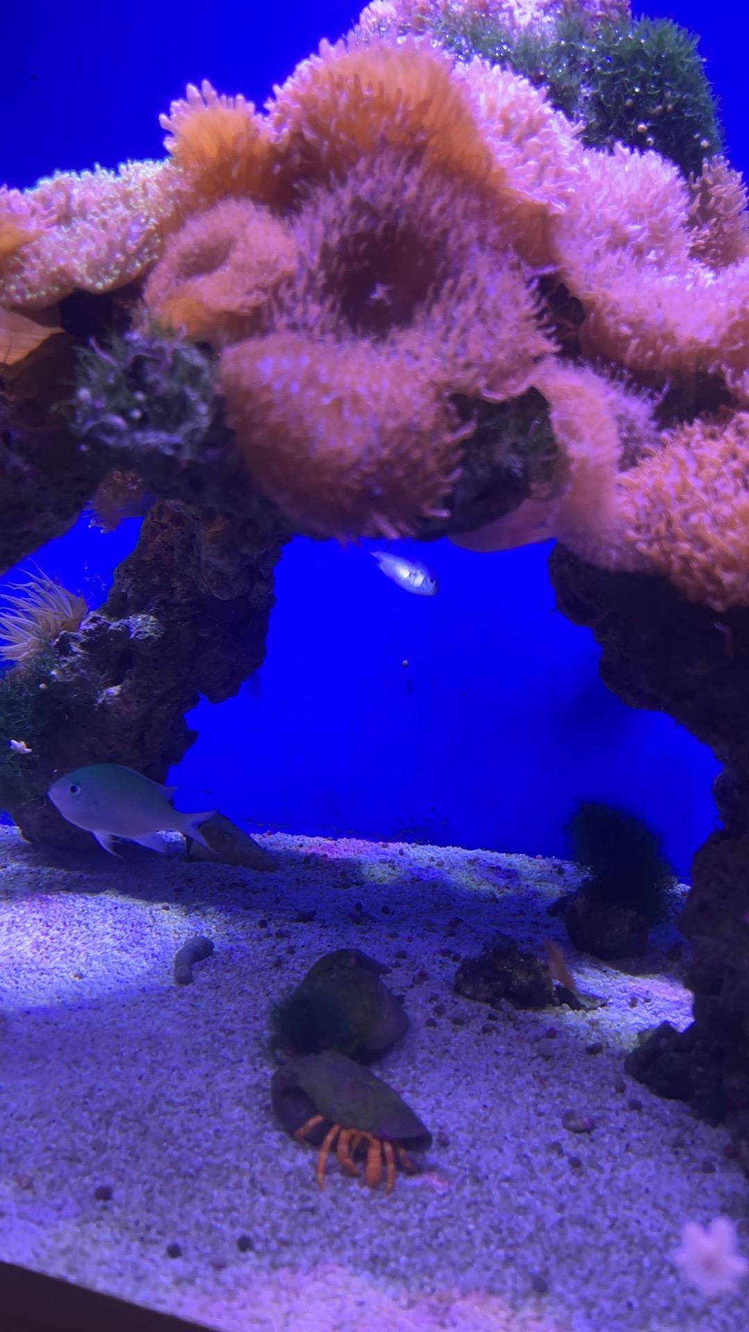 最幸运的十批人，我数了一下：80年代下海经商的，90年代炒股炒到起飞的，2000