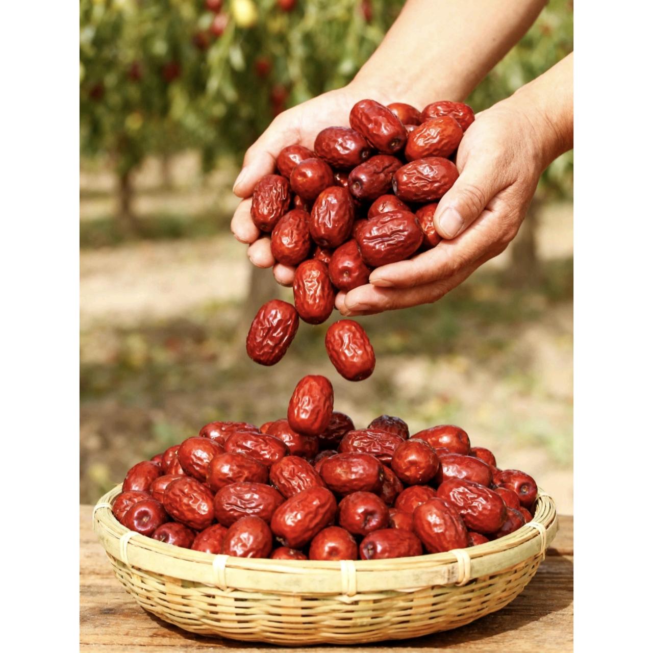 韩国警方最近捣毁了一个走私团伙，结果偷运的全是咱们国家的农产品——也就是大家常