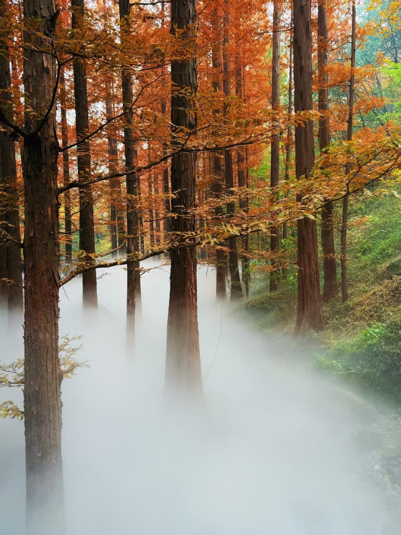 我十几岁的时候，觉得40多岁的人年龄挺大了，50多岁就是纯纯的老头子了。后来