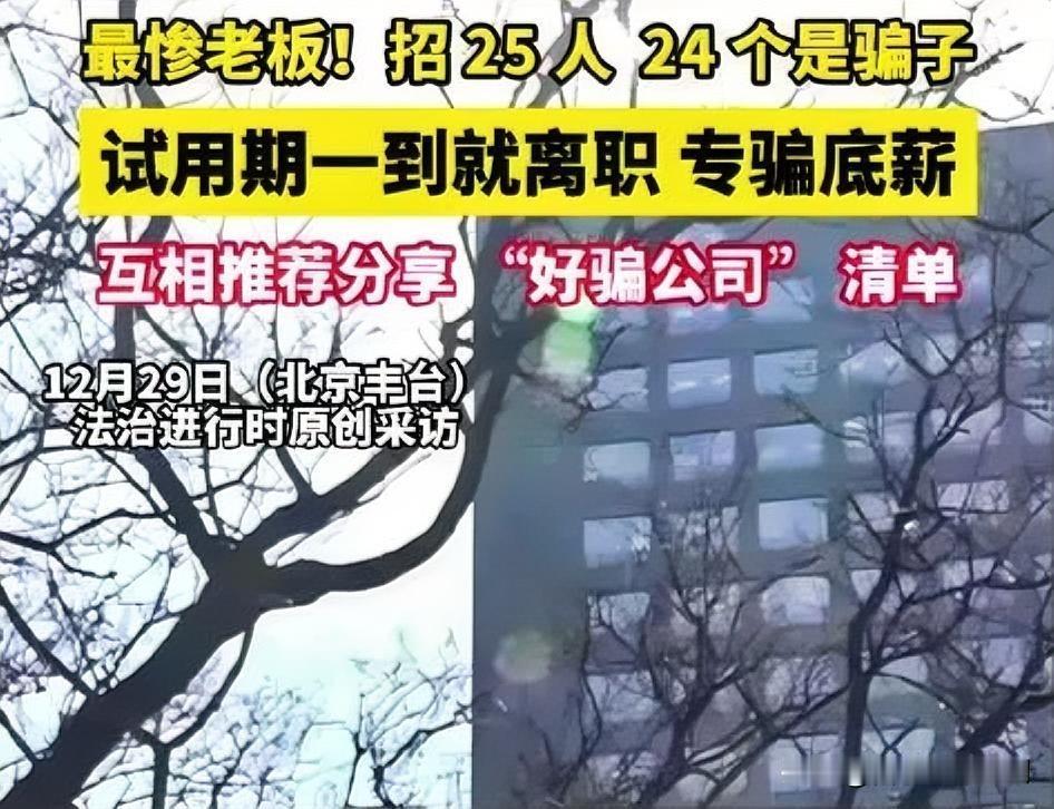 北京丰台区一老板招聘25人，竟有24人系职业骗薪团伙。该团伙以“挂职”为暗号，专