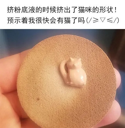 我很快会有猫了吗