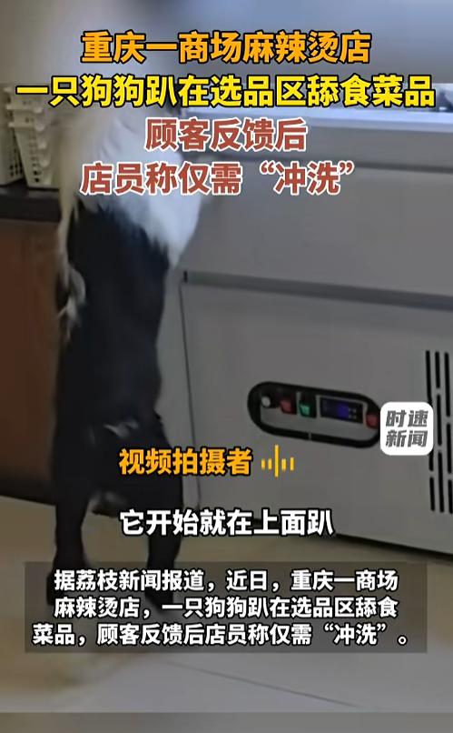 “咋就是管不住呢？”7月20日报道，重庆，一家大商场内的麻辣烫店，一只狗狗不知怎