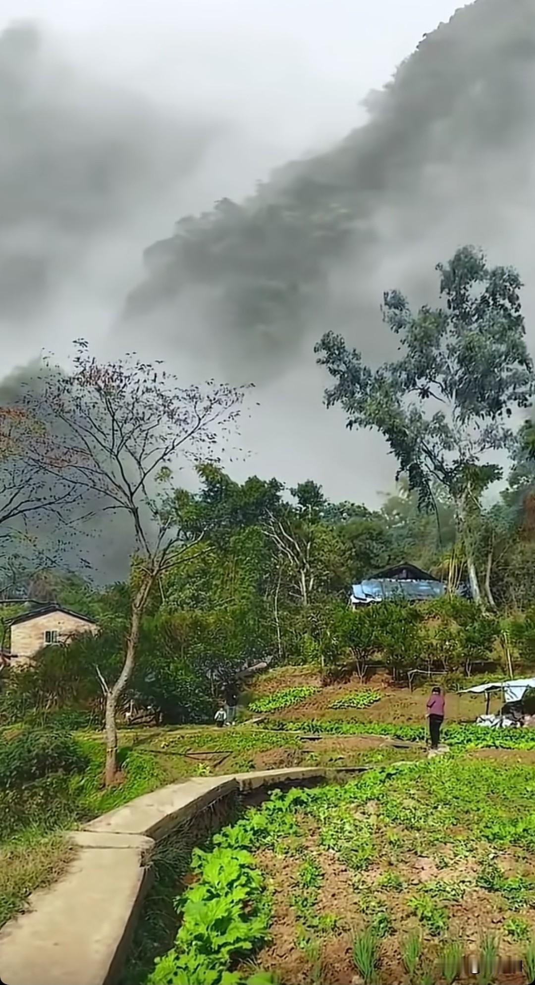 七律•一叶修禅一叶飘然落古潭，静参禅意悟玄谈。风摇翠影尘心洗，月照清波俗