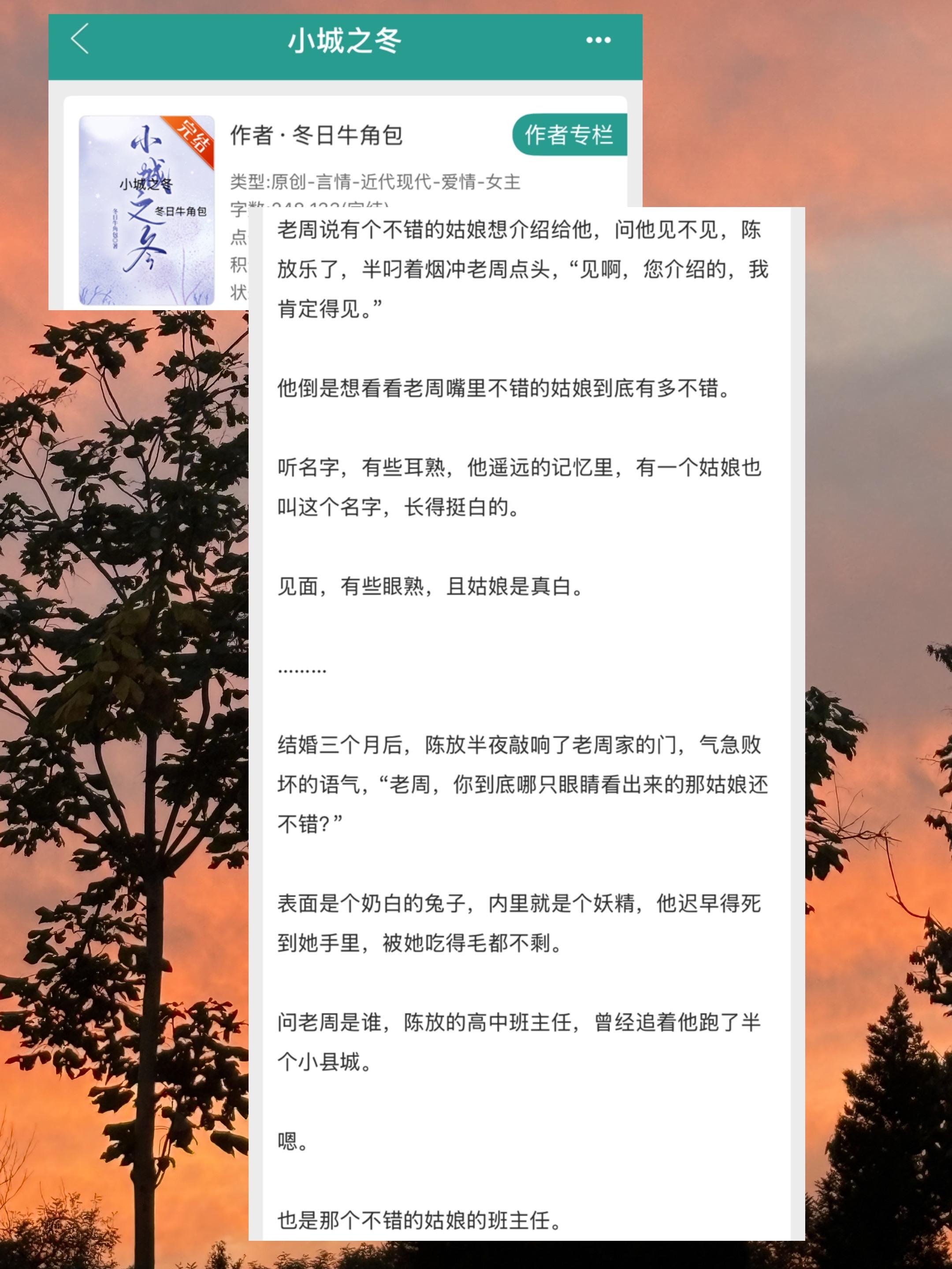 小说推荐 宝藏小说 言情小说 推书 言情