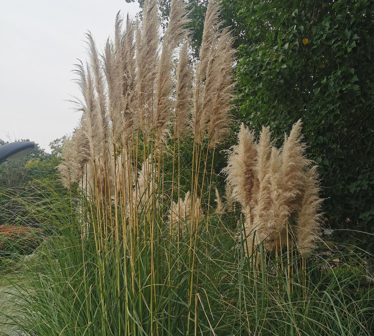 走在大街上，遇到相处多年的朋友，热情地和他打招呼。结果他爱搭不理的，同行的妻子诧