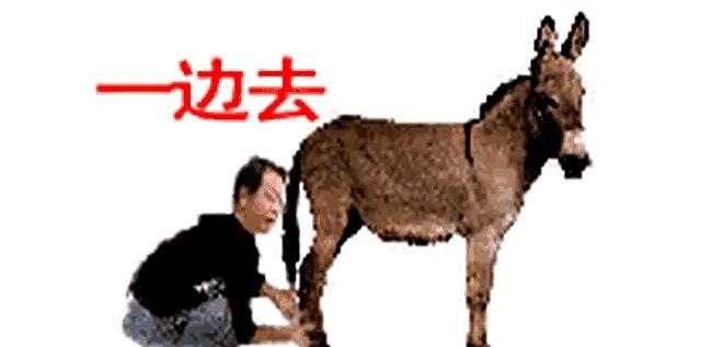 把这四个人放一起，才看懂了门道。马保国和朱之文，一个靠“闪电五连鞭”成了笑料