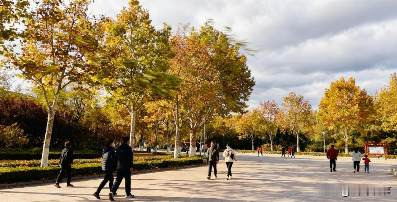 晴天、多云、降雨轮番登场，山东未来三天，天气舞台太热闹了，出门记得看天气！今
