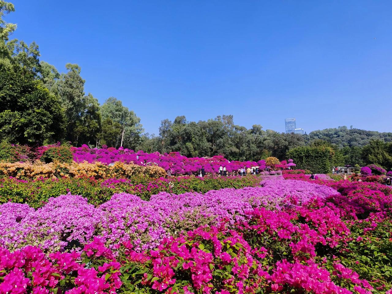 亲戚生病，儿子不管，甩给我爸，怎么办？姑姑是爸爸的姐姐，大脑问题住院了，爸爸打