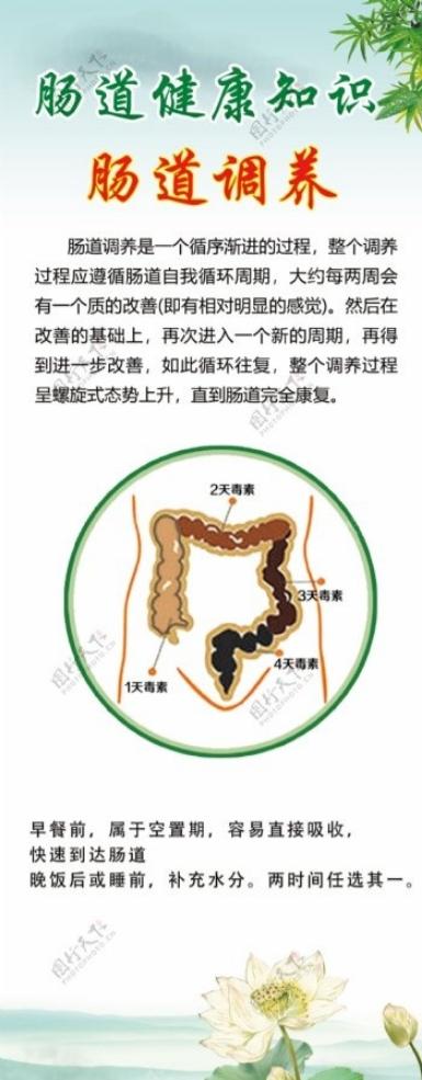 常年被便秘困扰的人，千万别再乱试偏方了！很多人吃遍火龙果、西梅汁，对顽固便秘效