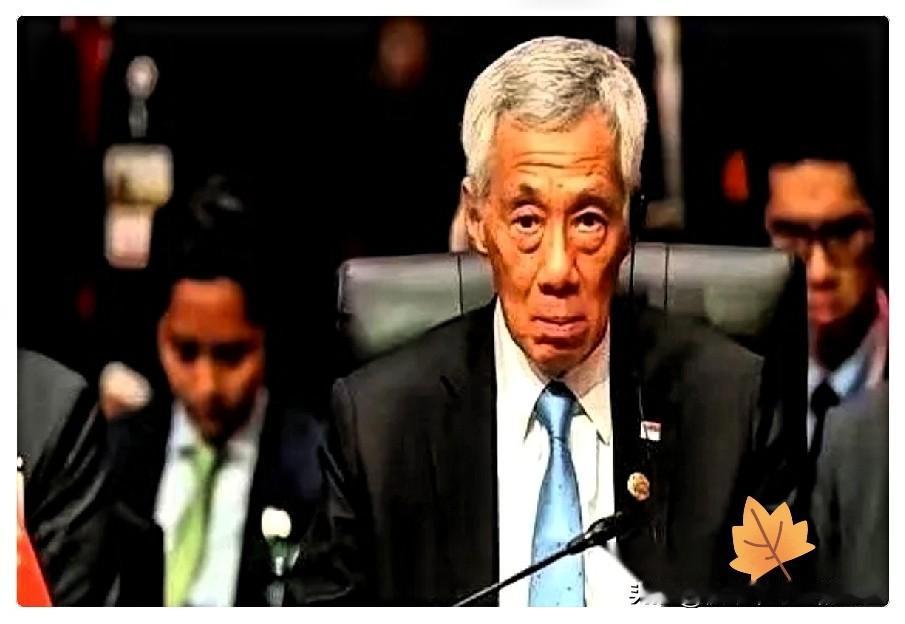 新加坡估计怎么也想不通。舒舒服服躺在马六甲海峡上收了几十年“过路费”，以为自己