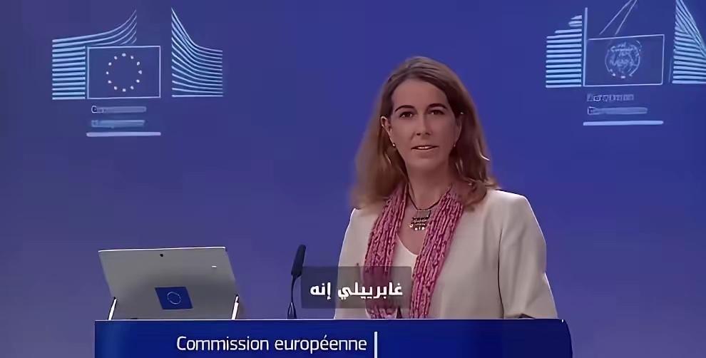 欧盟发言人被记者一句反问堵回去的那幕，比任何长篇大论都扎心。别人讲“谁砸的碗