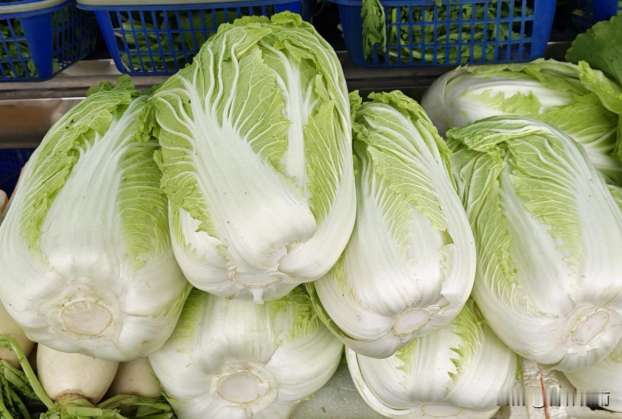 今天上午我来到小区的超市买菜，这里价格便宜，大白菜1.58元1斤，白萝卜0.98