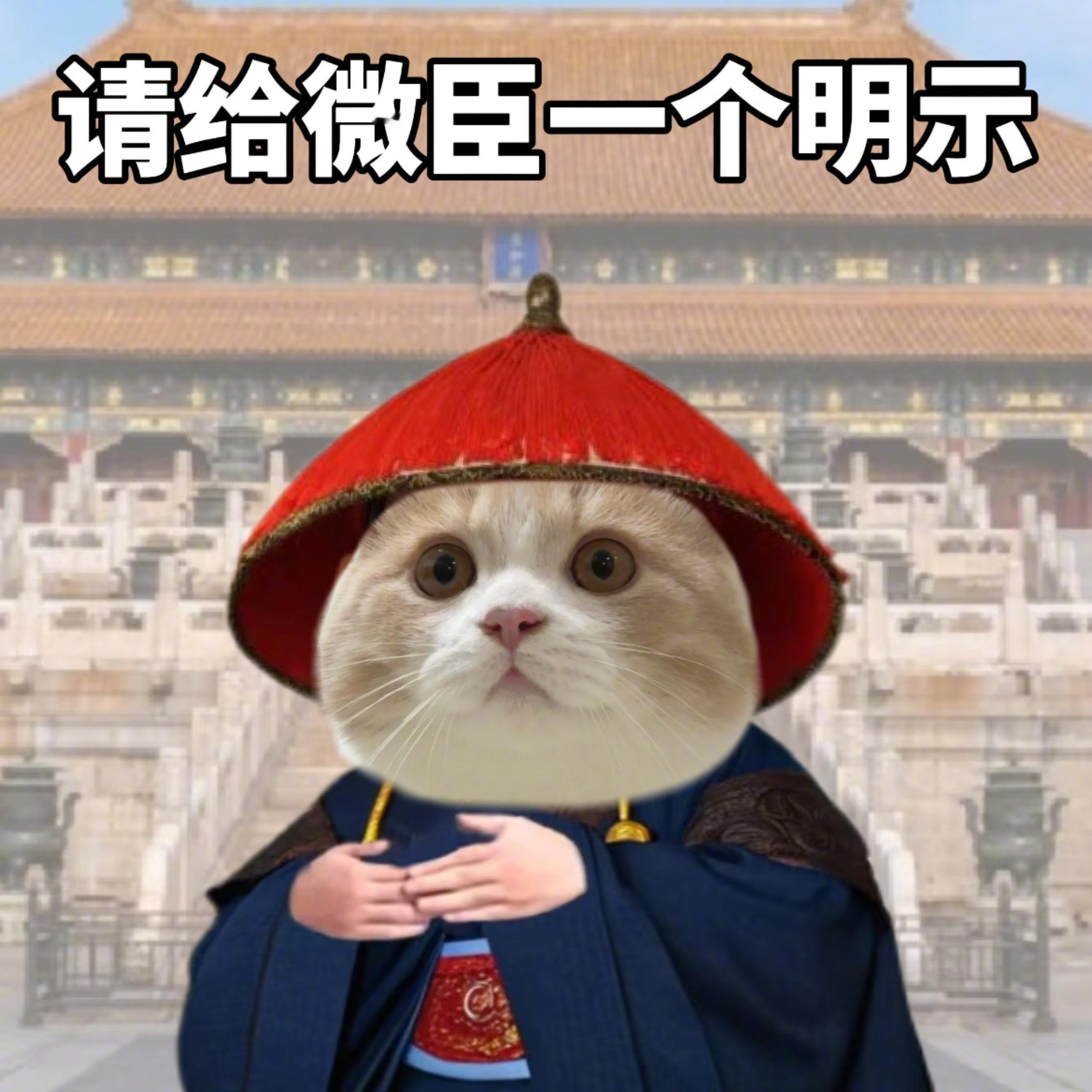 一个成熟的牛马需要准备哪些表情包​​​