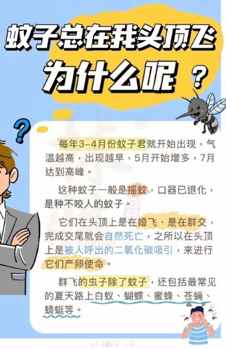 怪不得虫子总围着头顶飞今天总算搞明白一件怪事，为啥出门走路，小虫子总爱围着头顶打