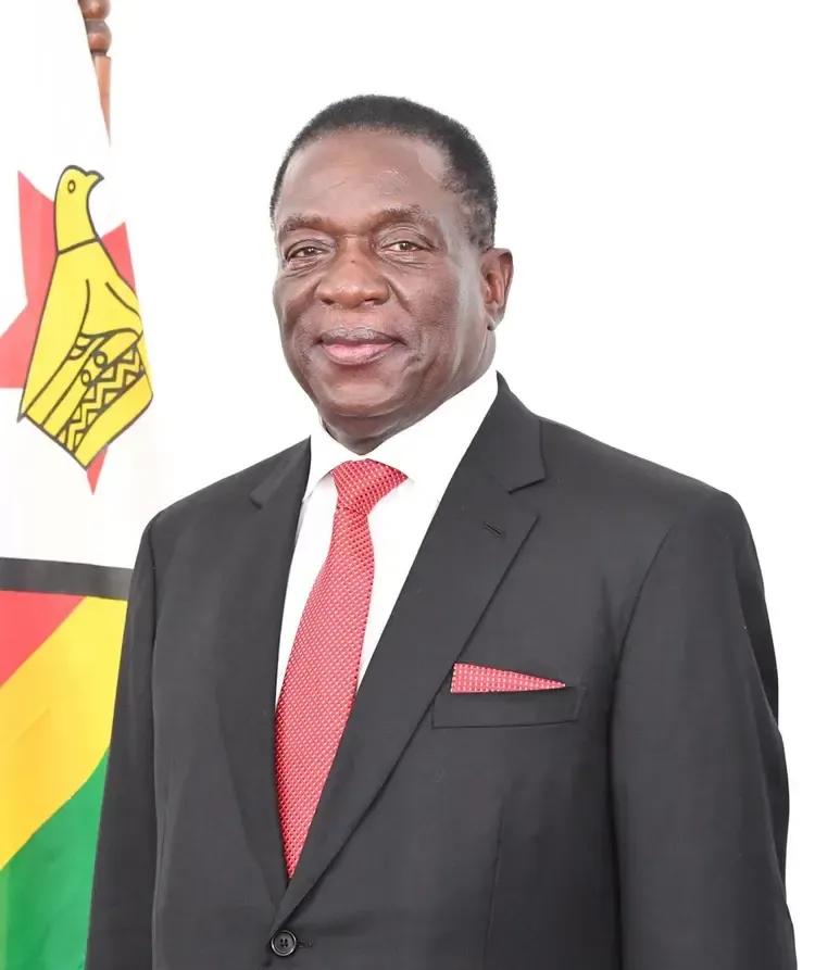 津巴布韦可能会搬起石头砸自己的脚。津巴布韦宣布暂停所有原矿和锂精矿出口后，意味着