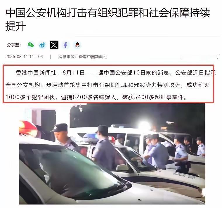 一夜之间，1000多个团伙被连根拔了。公安部这回动了真格的。全国公安机关同步收网