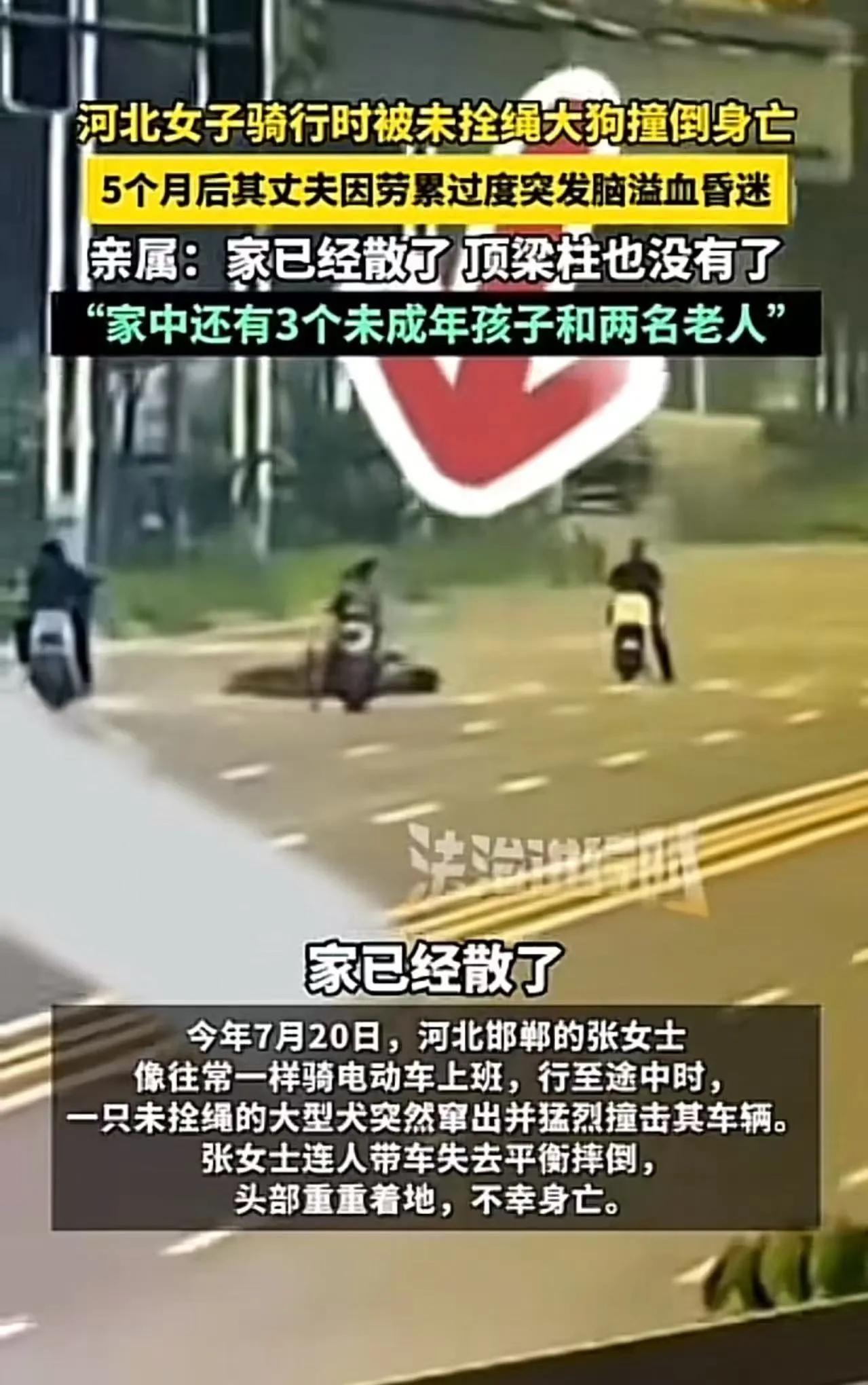 太悲剧了！河北一位普通的女子张女士骑车上班，却遇到了一场毫无预兆的灾难。那天