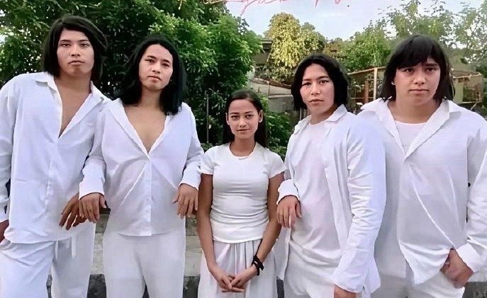 上面这五个人叫流星花园，下面这五个人应该要叫什么？