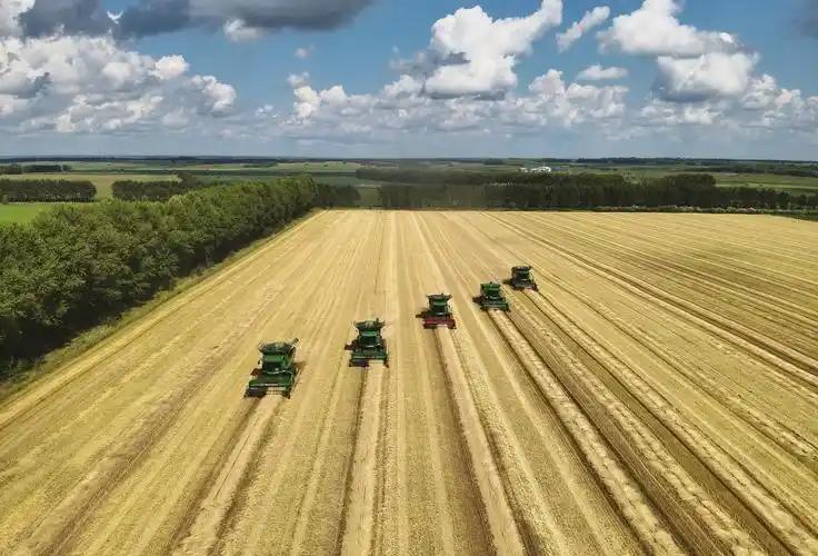 今天才知道一件事:美国的耕地面积比中国大,但粮食总产量要比中国少!这是怎么回事呢