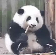 不亚于edg官宣cxy担任英雄联盟分部选手（暂时找不到更变态的类比了）LS加入T