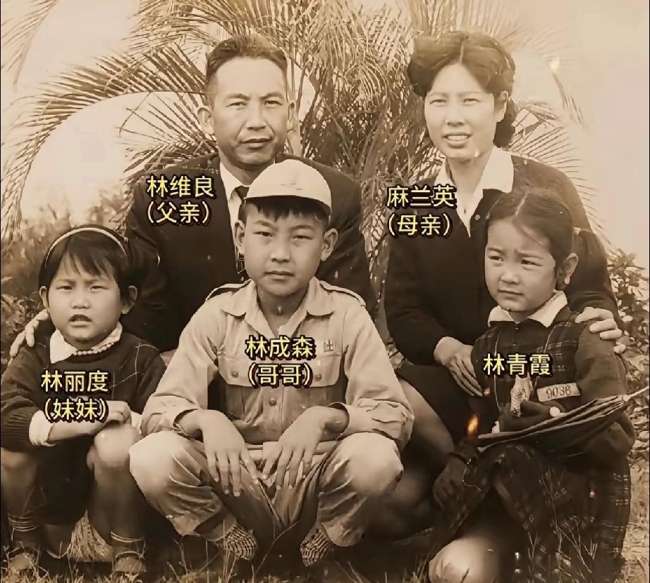 林青霞的父母共生育了四个孩子，林青霞是大明星，有名气，人漂亮。她的父亲做过军医