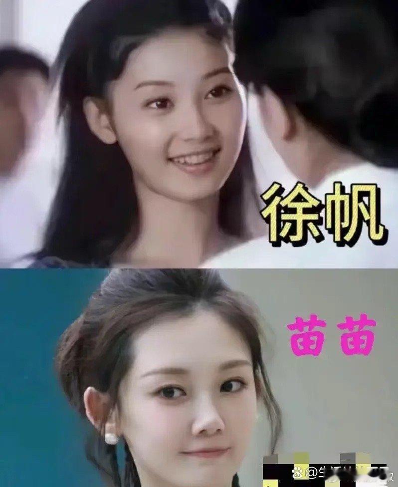 苗苗好像年轻的徐帆，冯导怪不得很看重她