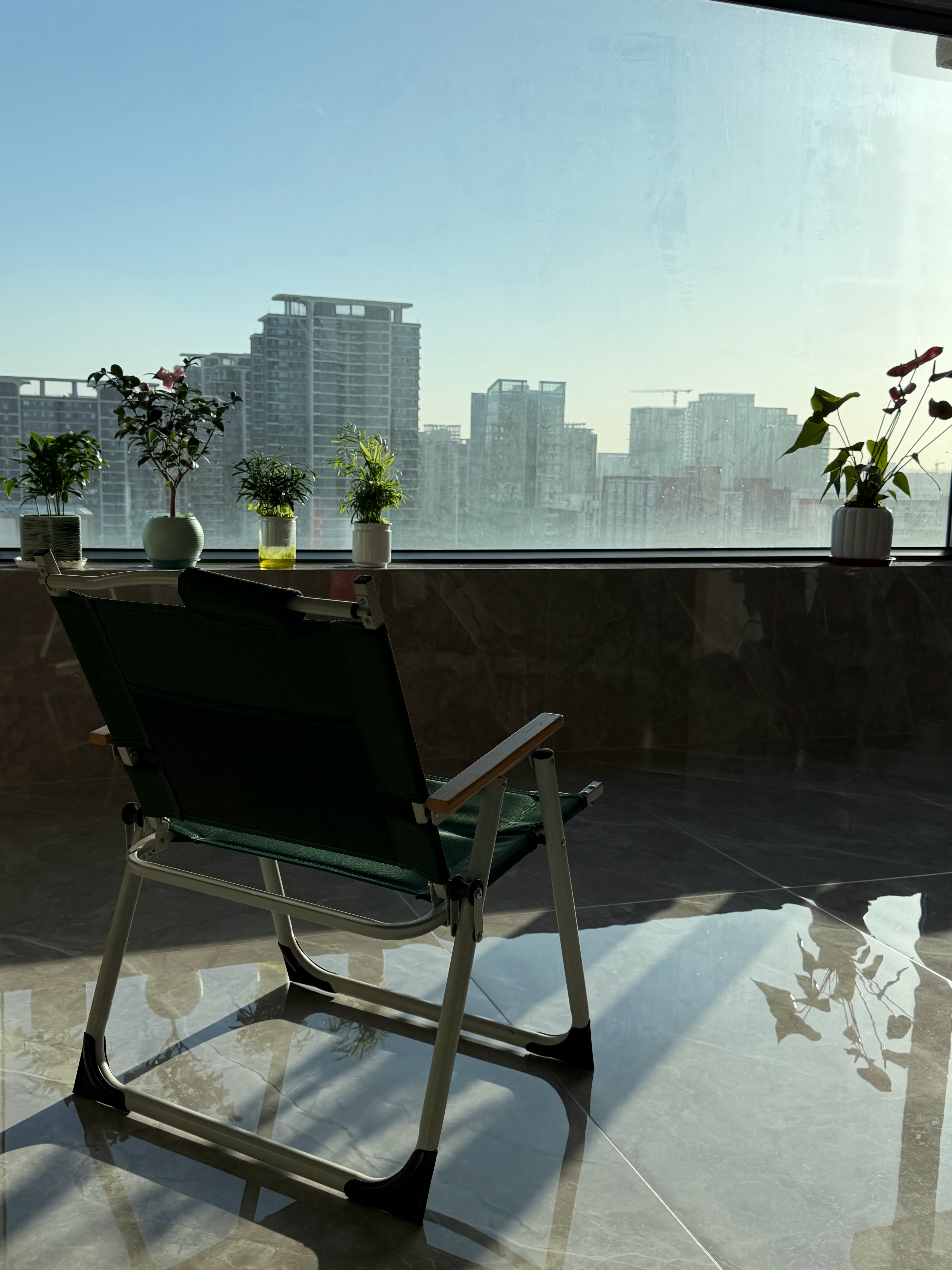 这个天在阳台晒太阳是真的舒服啊