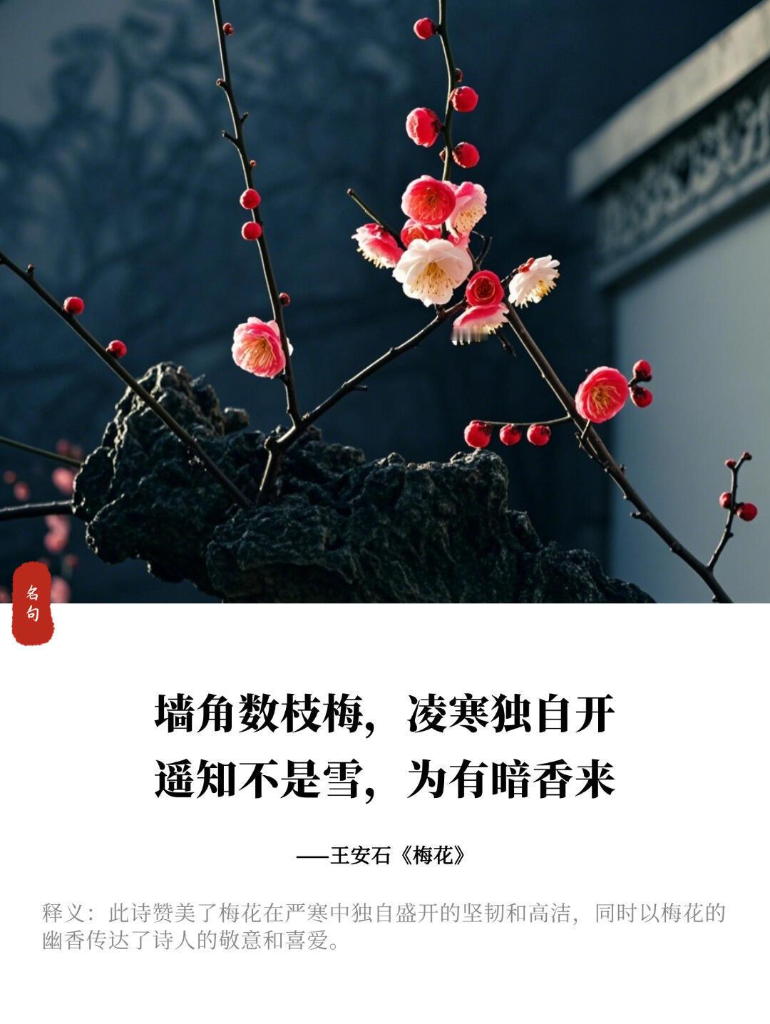 那些关于梅花的诗句