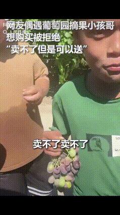 “听说新疆人热情大方，原来是真的呀！”近日，一女子路过葡萄园，看见几个男孩正在葡