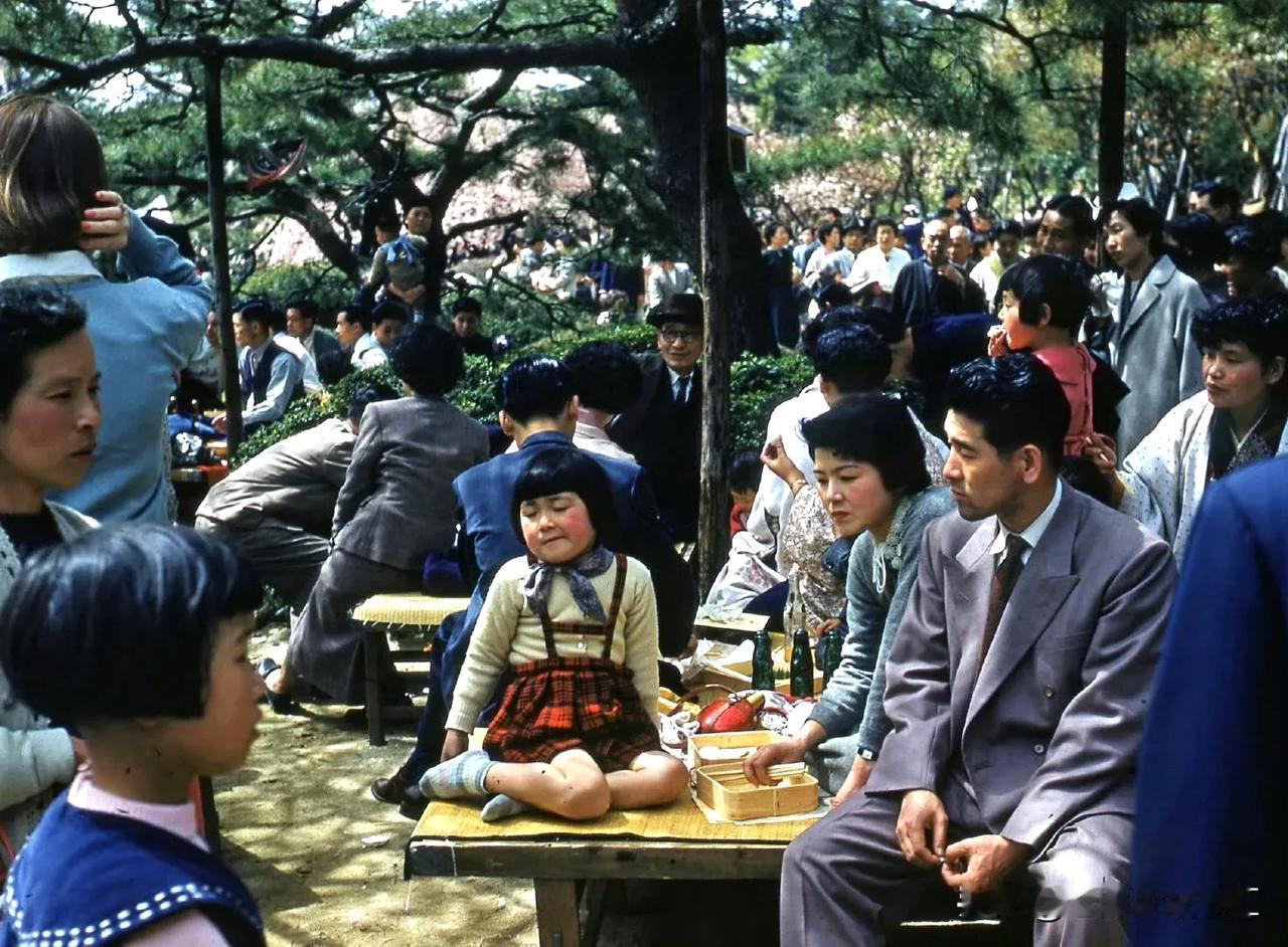 1956年，日本京都观赏樱花的游客