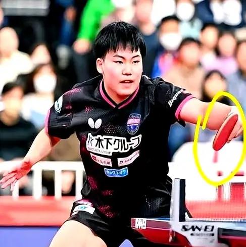 张本智和一语道破：松岛辉空，终究难越那道坎张本智和点评松岛的话，清醒又扎心