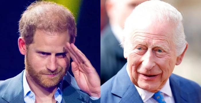 哈里王子与查尔斯国王隔空共鸣！父子情深共缅二战英雄，世纪裂痕下暗藏温情？“哈里