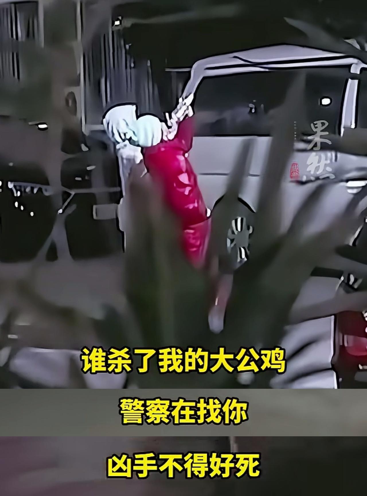 这不得上热搜！北京，一女业主拿着喇叭，在小区没日没夜循环喊话：“谁杀了我的大公鸡