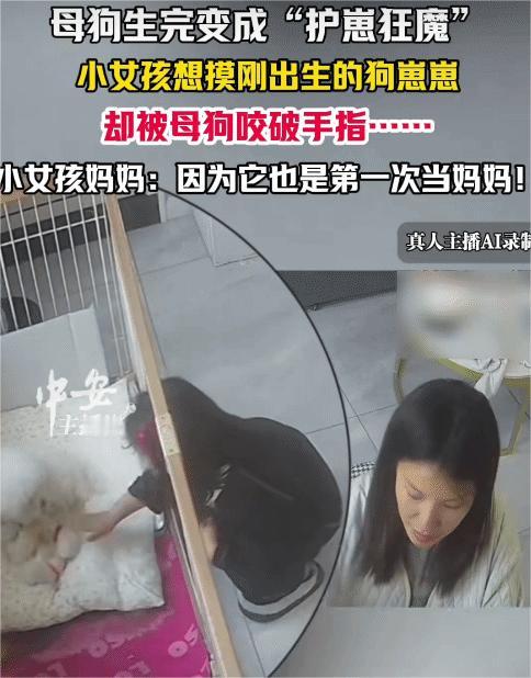 江苏，女子家养的狗狗生产后，她女儿想摸刚出生狗崽崽。突然，狗妈妈咬她女儿手指，导