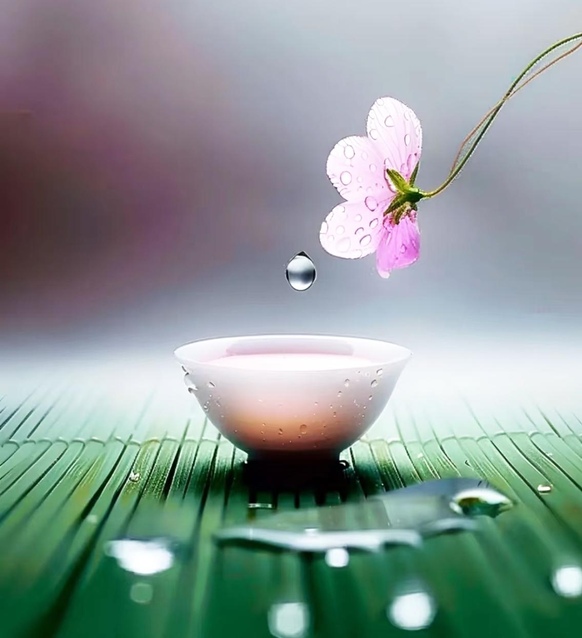 什么是真正的积德？真正的积德，从不是刻意行善，而是藏在日常里的分寸与善意千