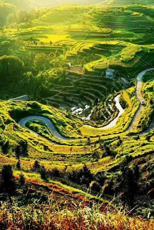 浙江·茗岙，云雾缭绕的山野村庄，构成了一幅绝美的画卷。