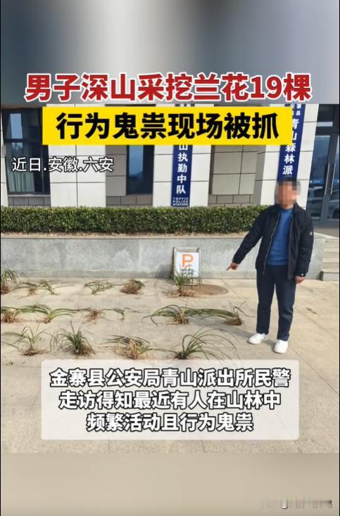 安徽六安，一男子多次进入深山中挖宝，执勤民警从村民口中得知这一消息后，立即进入深