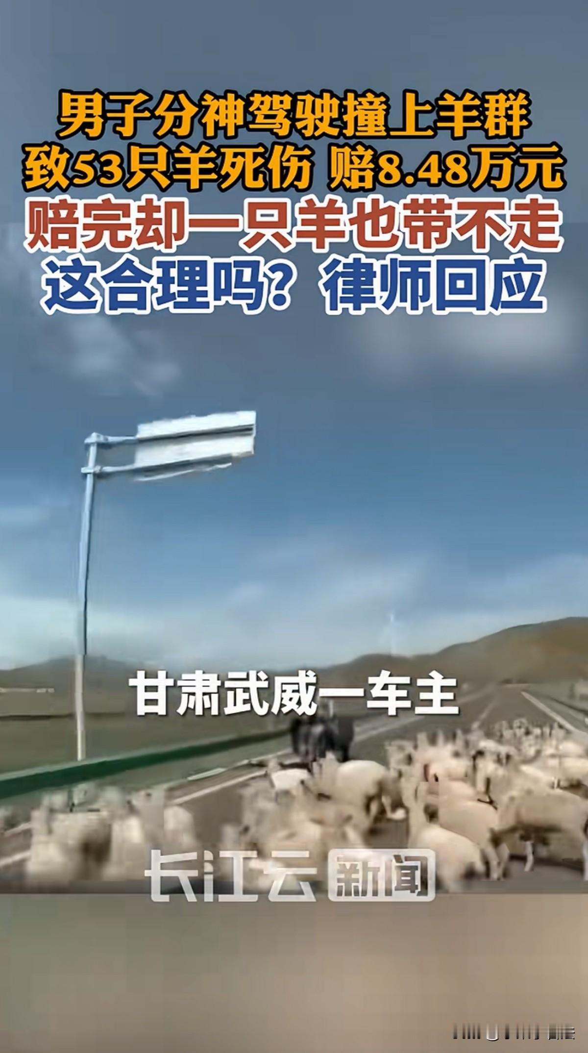 甘肃武威，男子在路上开车一时走神，突然前方出现一大羊群横穿马路，他心里想着可别撞