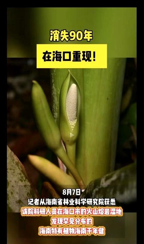 专家这回真把人看愣了。九十年没踪影的东西，居然还能被硬生生翻出来，像从旧时光里