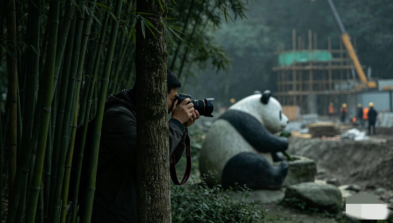  警惕！雅安不只是旅游城，竟是间谍紧盯的要害之地很多人觉得雅安就是看熊猫