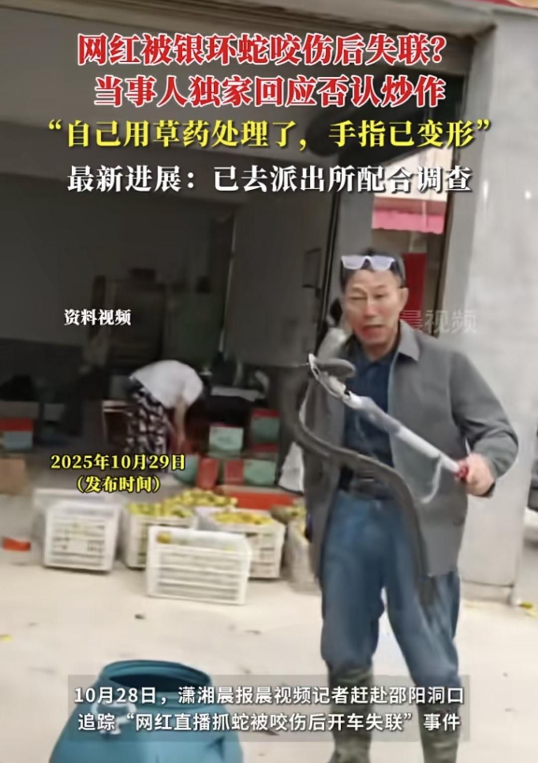 第一次听说被银环蛇咬了没有注射血清还能活,蛇类博主啊宝都质疑是不是空咬,但这位大