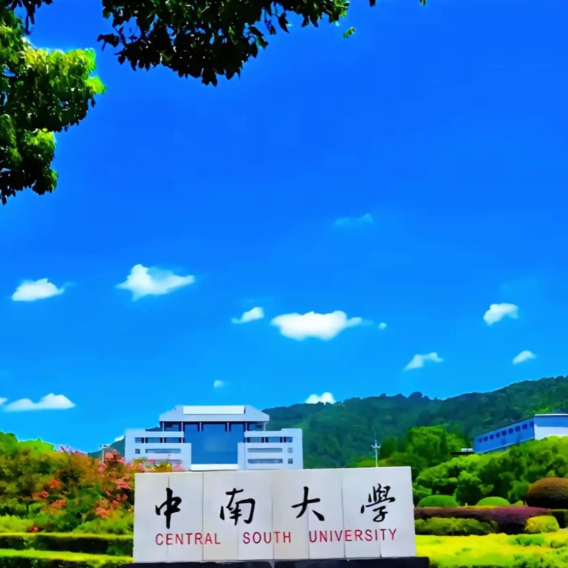 中南大学法学院顶着梅新育教授的公开质疑，坚持不撤回耶鲁龙大瑞的女权讲座邀请，等于