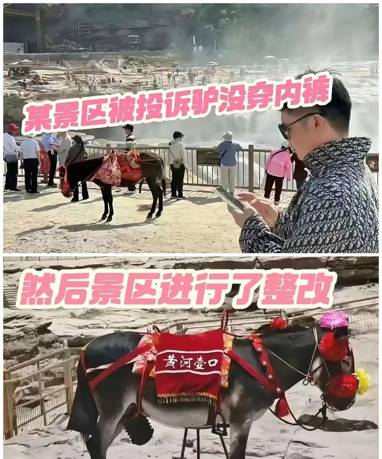 驴:被人类驯养了几千年，今天总算是长见识了。