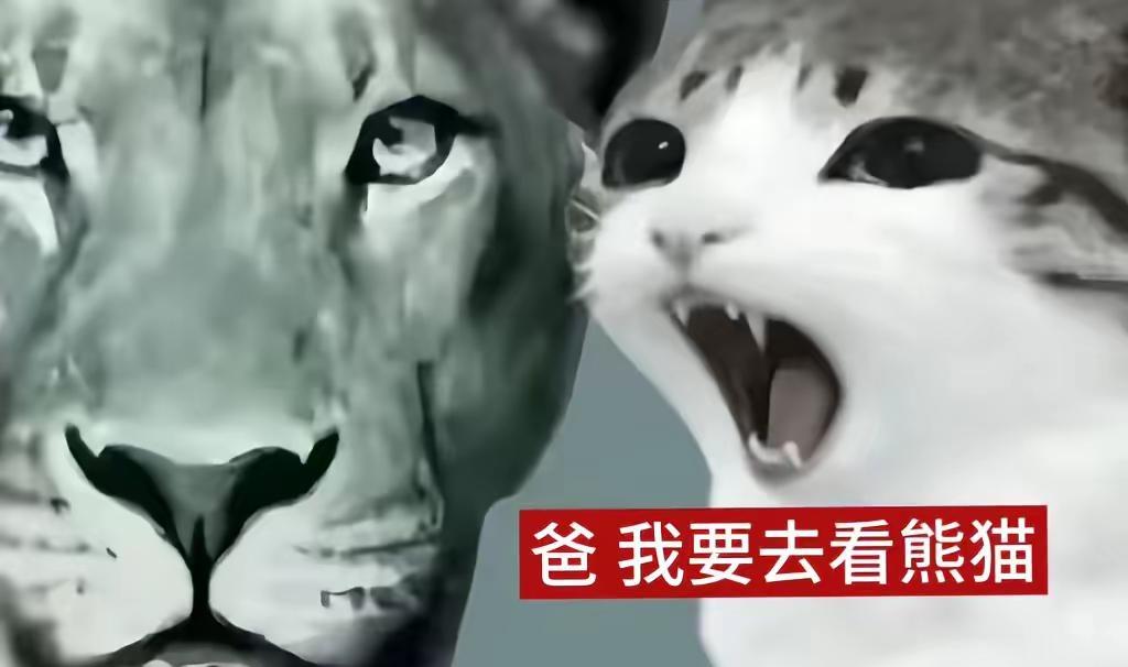 梗图老爸抽象生活不会辜负每一个努力的人